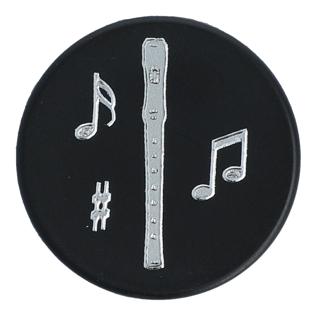 Magnets with silver instruments and notes (single)