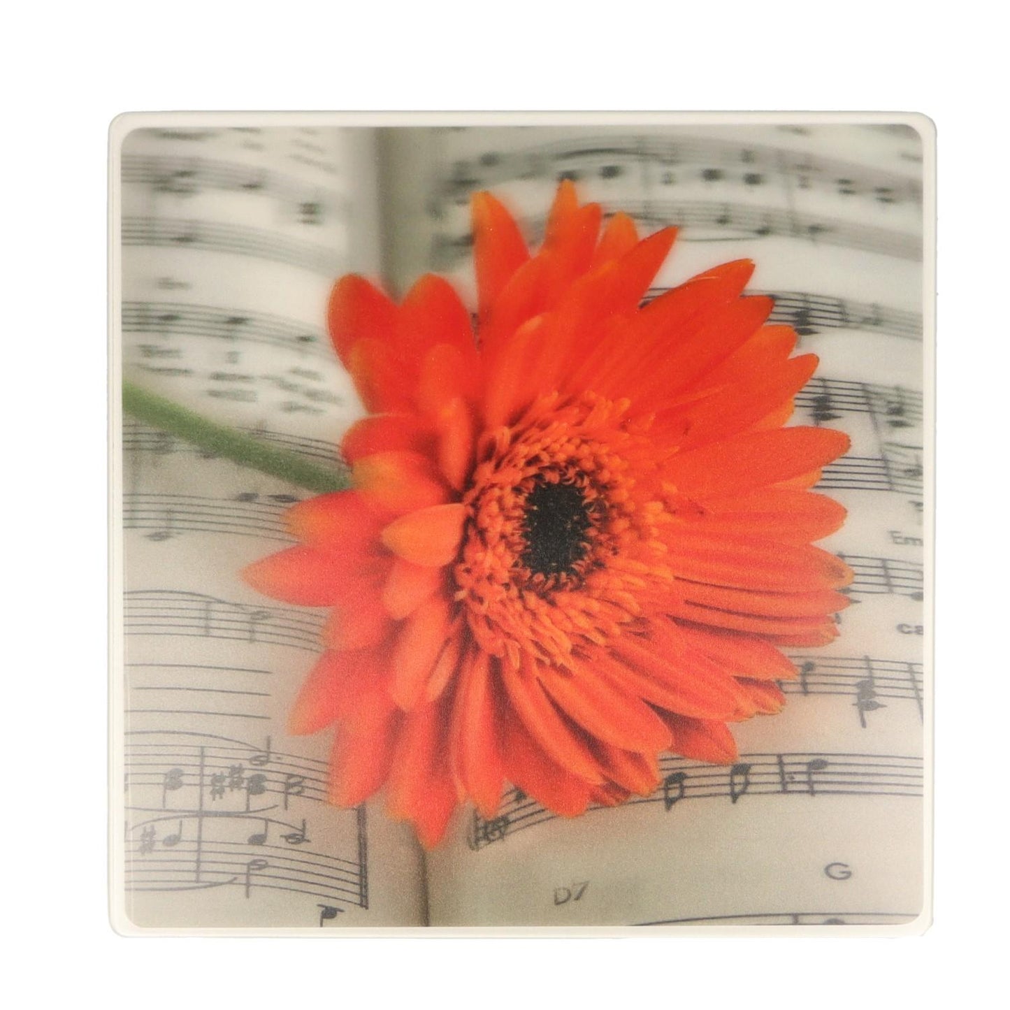 Gerbera-Notenzeilen-Mousepad, 3D-Effekt