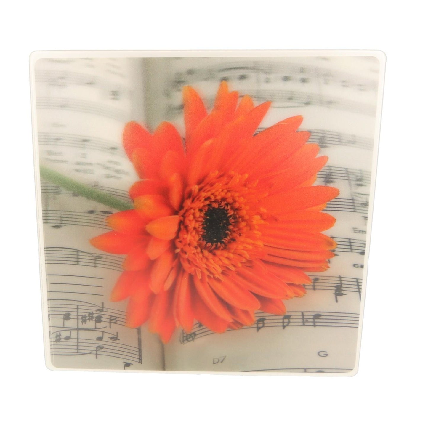 Gerbera-Notenzeilen-Mousepad, 3D-Effekt