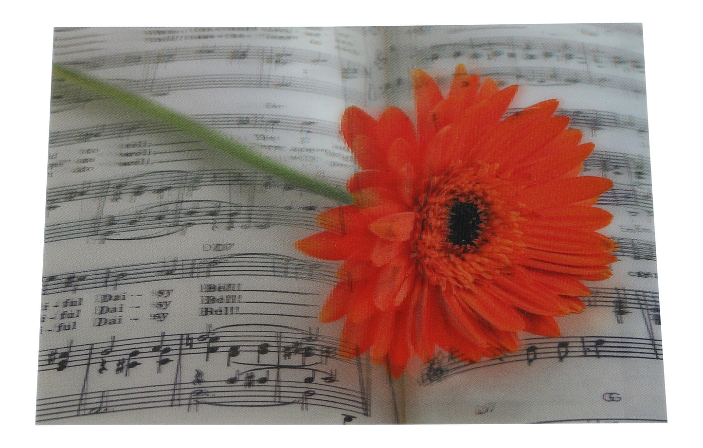 3D postcard Gerbera on sheet music