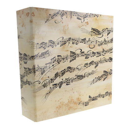 musical folder with staves, cream with black notes