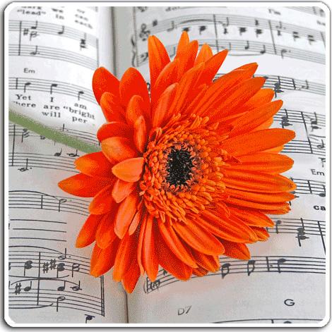Gerbera-Notenzeilen-Mousepad, 3D-Effekt 